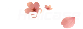 HELLCASE